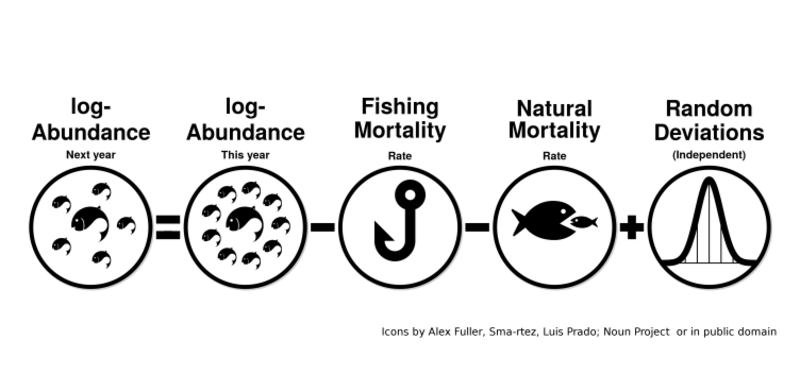 Abundance process of an assessment model